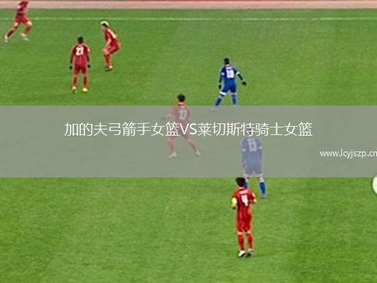 加的夫弓箭手女篮VS莱切斯特骑士女篮
