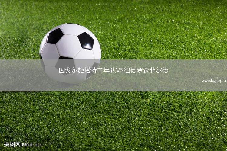 因戈尔施塔特青年队VS纽德罗森菲尔德