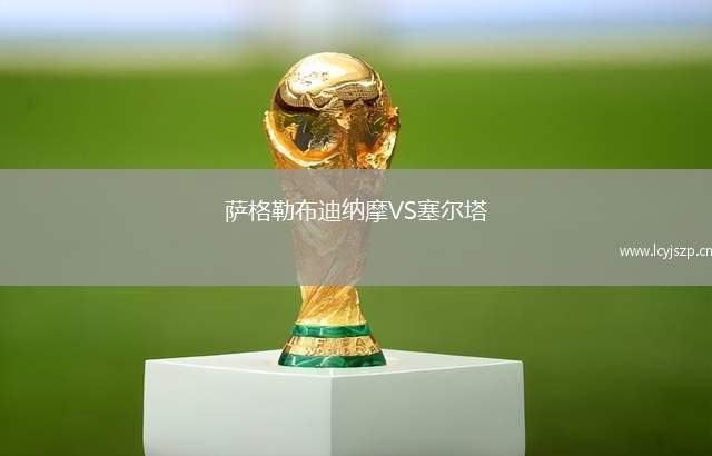 萨格勒布迪纳摩VS塞尔塔