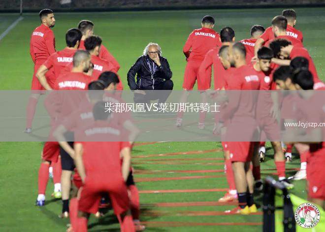 柴郡凤凰VS莱切斯特骑士