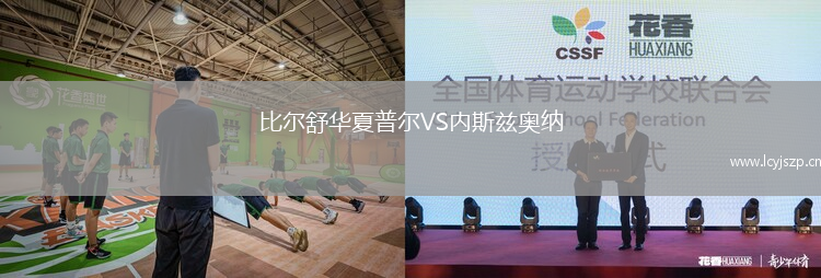 比尔舒华夏普尔VS内斯兹奥纳