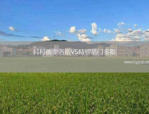 科科德里洛斯VS特罗塔门多斯