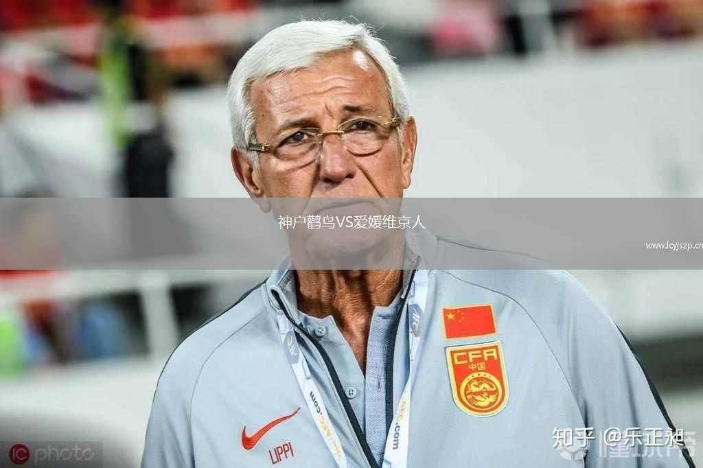 神户鹳鸟VS爱媛维京人