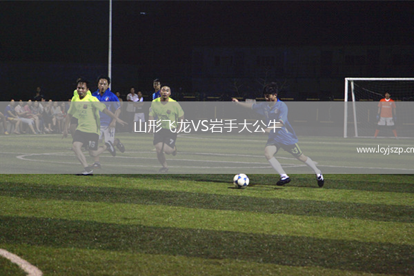 山形飞龙VS岩手大公牛
