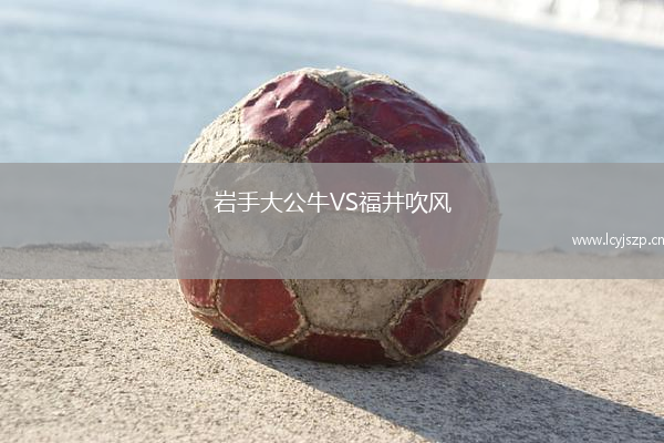 岩手大公牛VS福井吹风