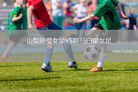 山梨藤樱女足VS群马白星女足