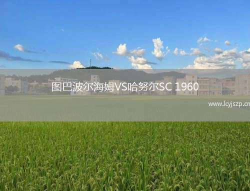 图巴波尔海姆VS哈努尔SC 1960