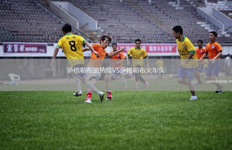 萨格勒布迪纳摩VS萨格勒布火车头
