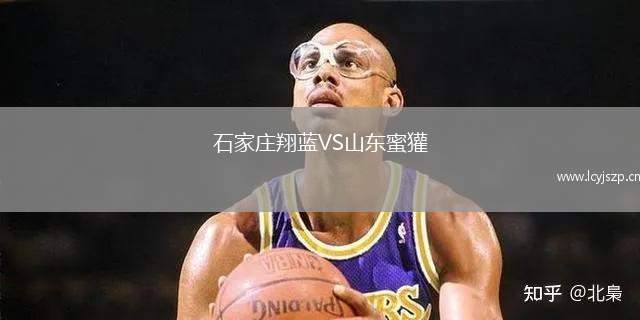石家庄翔蓝VS山东蜜獾