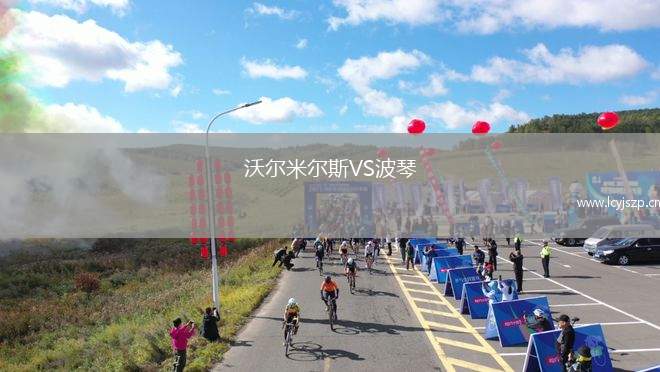 沃尔米尔斯VS波琴