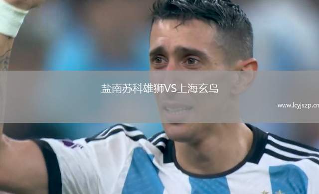 盐南苏科雄狮VS上海玄鸟