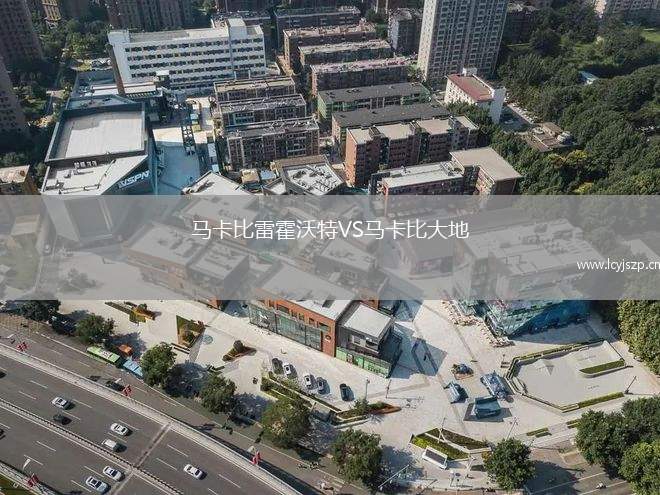 马卡比雷霍沃特VS马卡比大地
