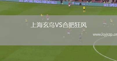 上海玄鸟VS合肥狂风
