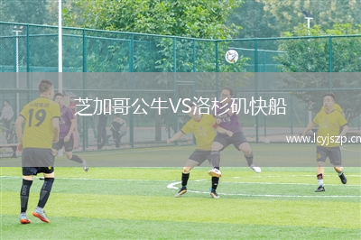 芝加哥公牛VS洛杉矶快船