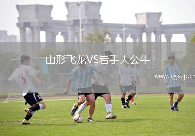 山形飞龙VS岩手大公牛
