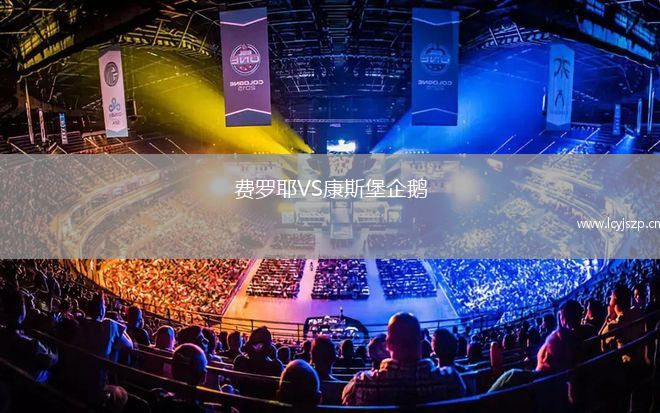 费罗耶VS康斯堡企鹅