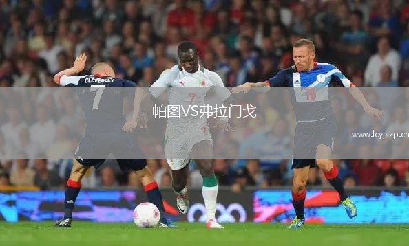 帕图VS弗拉门戈