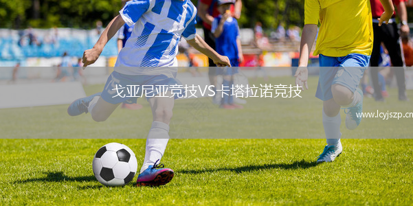 戈亚尼亚竞技VS卡塔拉诺竞技