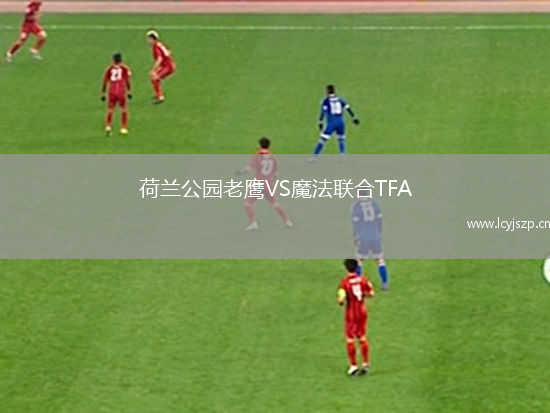 荷兰公园老鹰VS魔法联合TFA