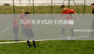 瓦尔多夫VS历卡苏尔姆