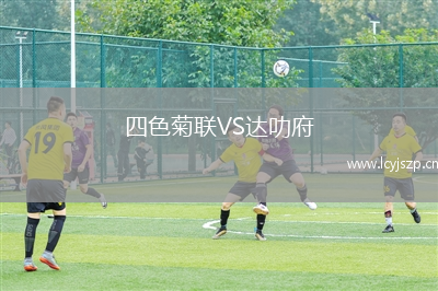 四色菊联VS达叻府