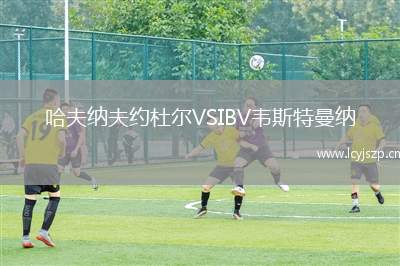 哈夫纳夫约杜尔VSIBV韦斯特曼纳