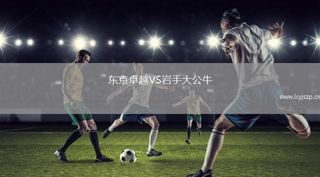 东京卓越VS岩手大公牛