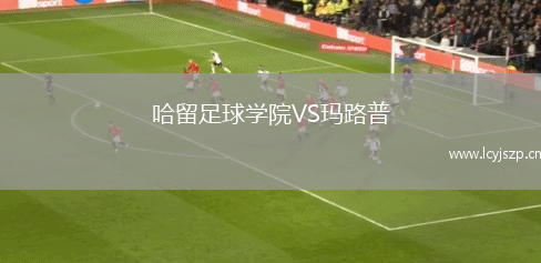 哈留足球学院VS玛路普