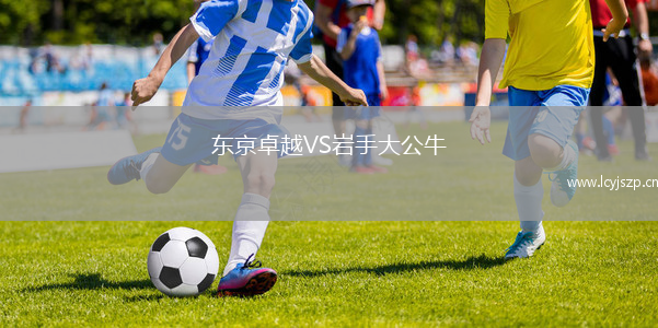 东京卓越VS岩手大公牛