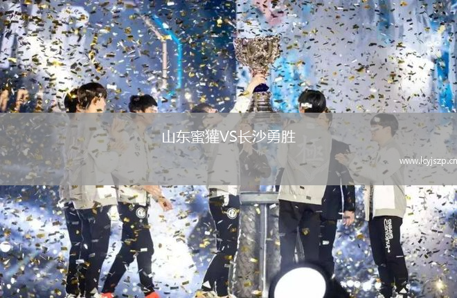 山东蜜獾VS长沙勇胜