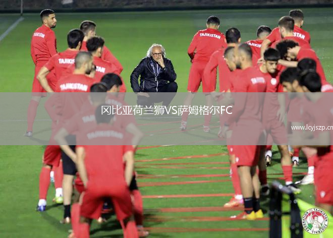 冈比亚荷兰狮VS萨姆格尔FC