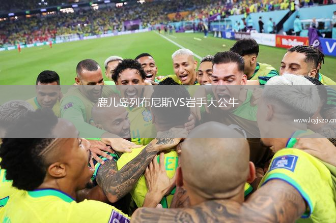 鹿儿岛列布尼斯VS岩手大公牛