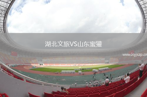 湖北文旅VS山东蜜獾