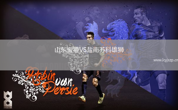 山东蜜獾VS盐南苏科雄狮