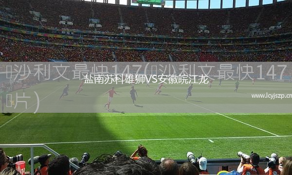 盐南苏科雄狮VS安徽皖江龙