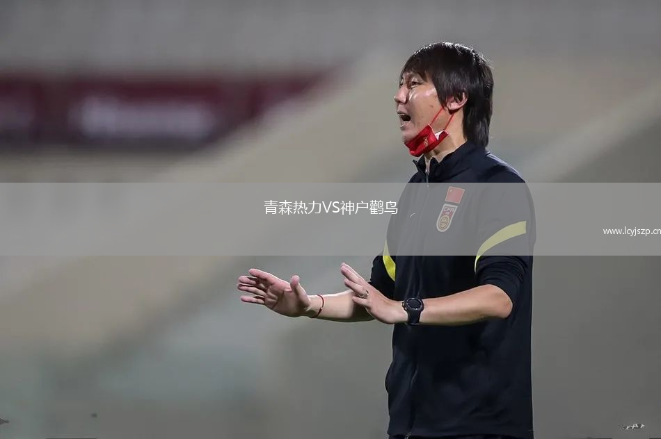 青森热力VS神户鹳鸟